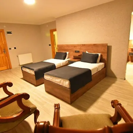 Hotel Palace