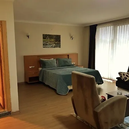 Palace 酒店 特拉布宗